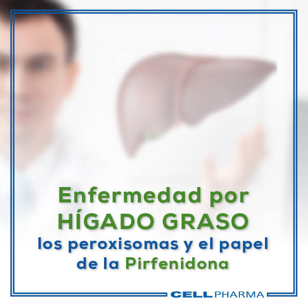 Enfermedad por Hígado Graso