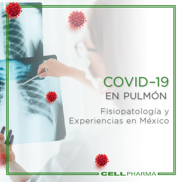 COVID–19 en pulmón
