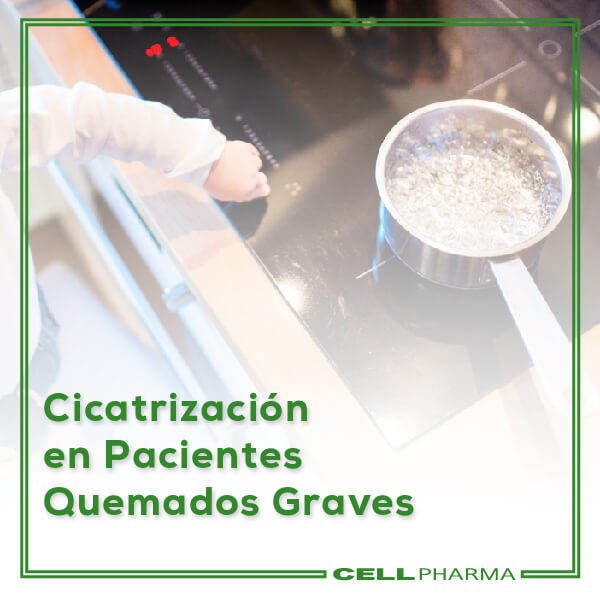 Cicatrización en Pacientes Quemados Graves
